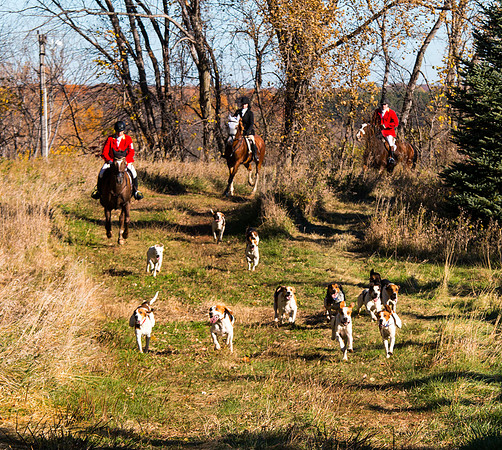 Long Lake Hounds Minnesota