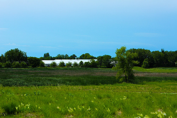 Plymouth Minnesota