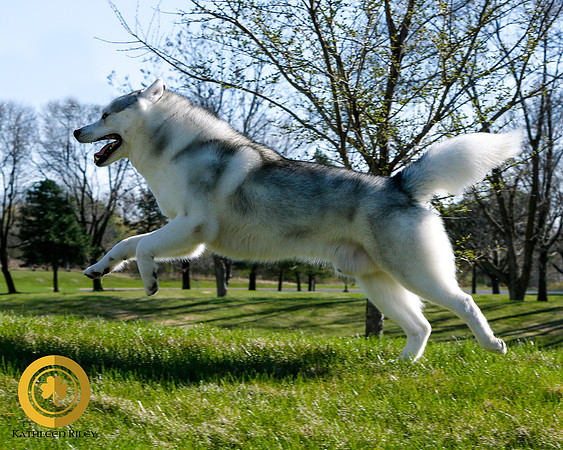 2021-KathleenRileyPhotography_S2_2394-LOGO