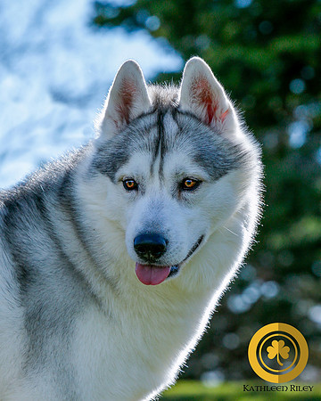 2021-KathleenRIleyPhotography_S2_2239-LOGO.jpg