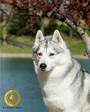 2021-KathleenRileyPhotography_S2_2335-LOGO