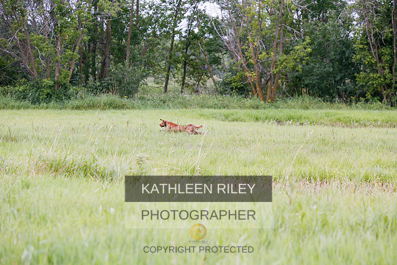 2022-KathleenRileyPhotography-3352