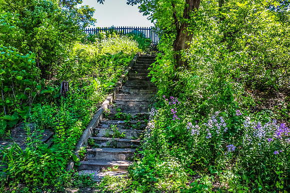 Medicine Lake 4665