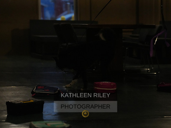 2022-KathleenRileyPhotography075