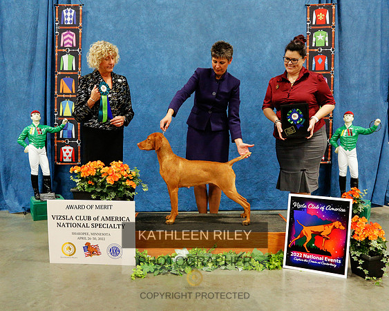 AOM-2022-KathleenRileyPhotography-7564