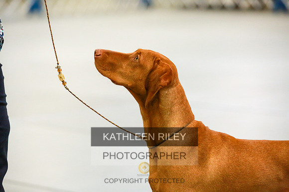 2022-KathleenRileyPhotography-8878