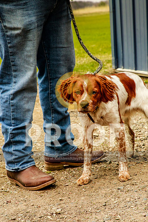 2021-KathleenRileyPhotography-2999