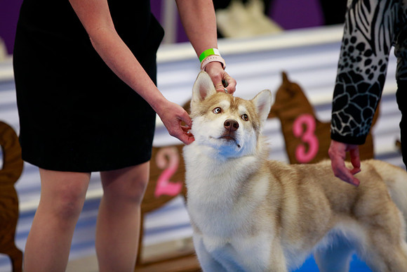2021-KathleenRileyPhotography-1026