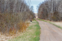 2021-KathleenRileyPhotography-4968