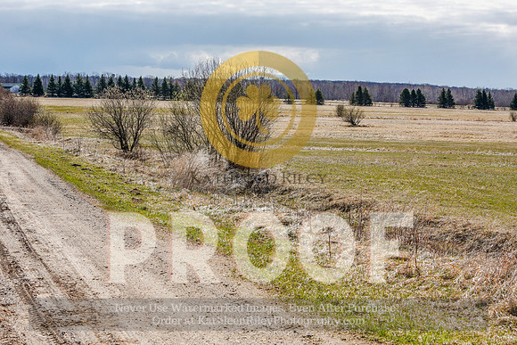 2021-KathleenRileyPhotography-4985