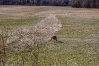 2021-KathleenRileyPhotography-4990