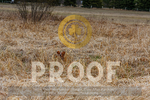 2021-KathleenRileyPhotography-5027