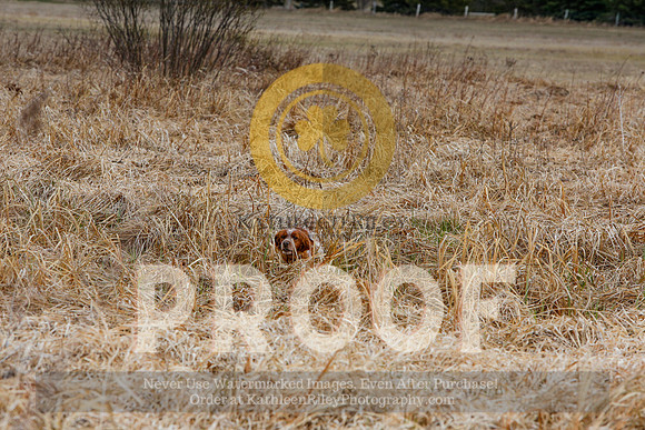 2021-KathleenRileyPhotography-5029