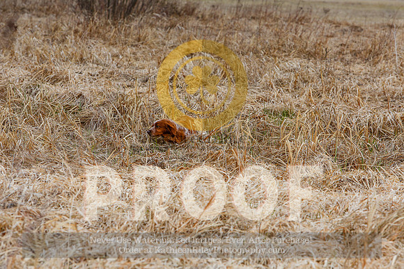 2021-KathleenRileyPhotography-5030