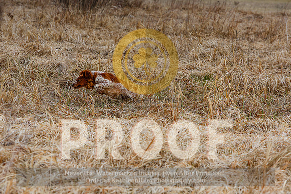 2021-KathleenRileyPhotography-5031