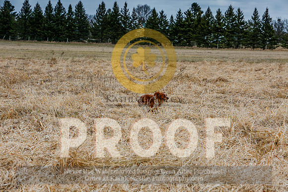 2021-KathleenRileyPhotography-5034