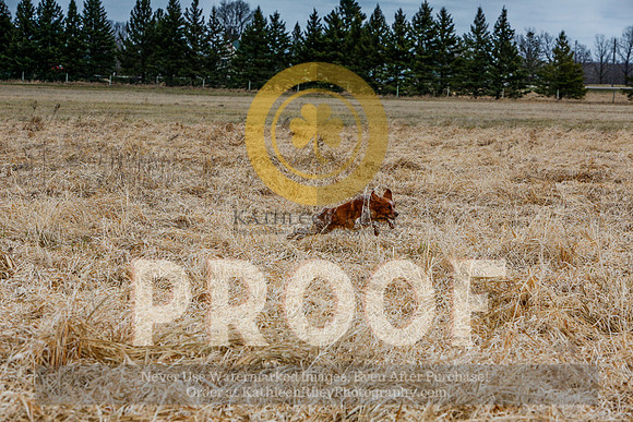 2021-KathleenRileyPhotography-5035