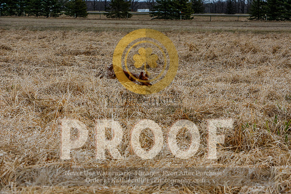 2021-KathleenRileyPhotography-5038
