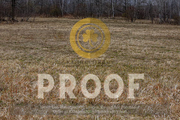 2021-KathleenRileyPhotography-5083