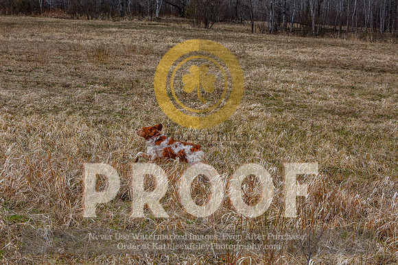 2021-KathleenRileyPhotography-5086