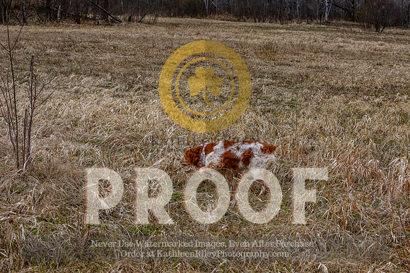2021-KathleenRileyPhotography-5102