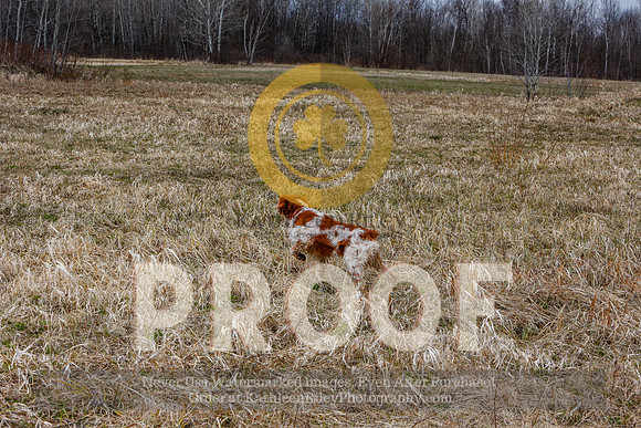 2021-KathleenRileyPhotography-5118