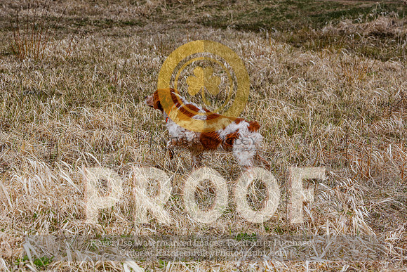2021-KathleenRileyPhotography-5124