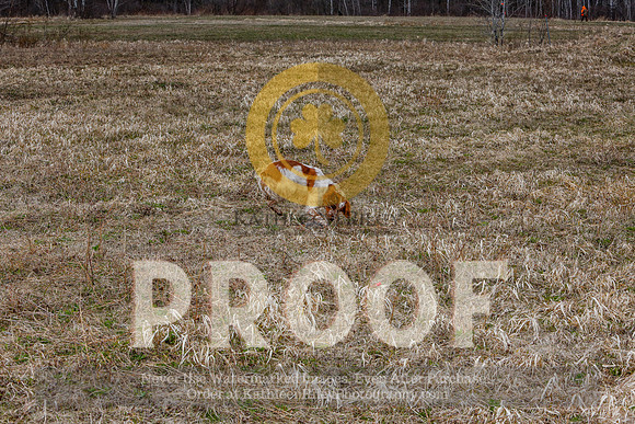 2021-KathleenRileyPhotography-5154