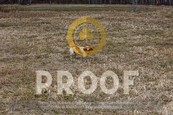 2021-KathleenRileyPhotography-5155
