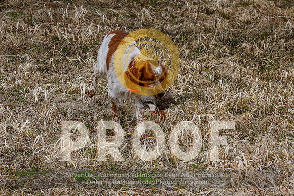 2021-KathleenRileyPhotography-5168