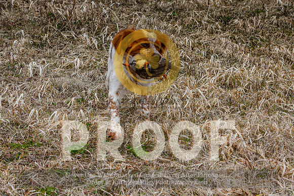 2021-KathleenRileyPhotography-5170