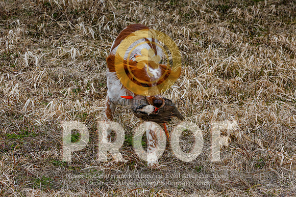 2021-KathleenRileyPhotography-5171