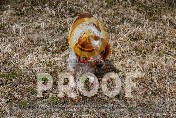 2021-KathleenRileyPhotography-5172