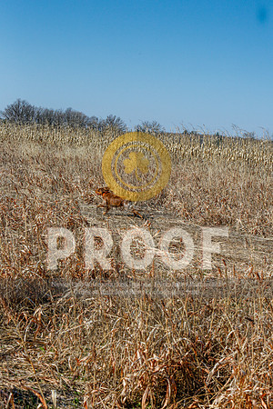 2021-KathleenRileyPhotography-5222