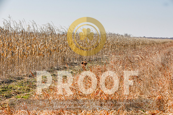 2021-KathleenRileyPhotography-5234