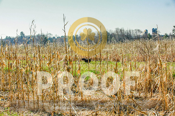 2021-KathleenRileyPhotography-2277