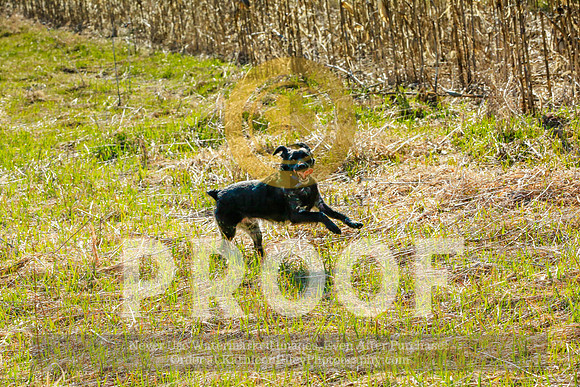2021-KathleenRileyPhotography-2282