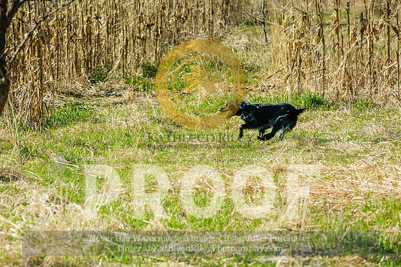 2021-KathleenRileyPhotography-2300