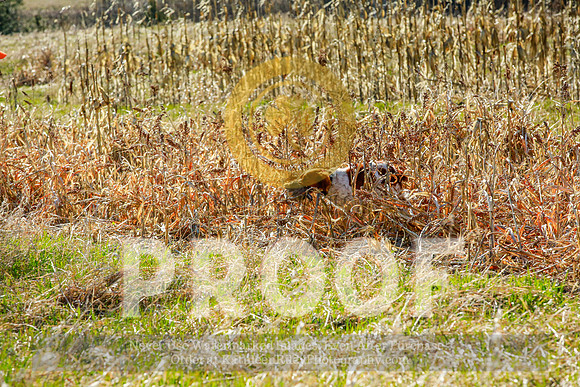 2021-KathleenRileyPhotography-2330