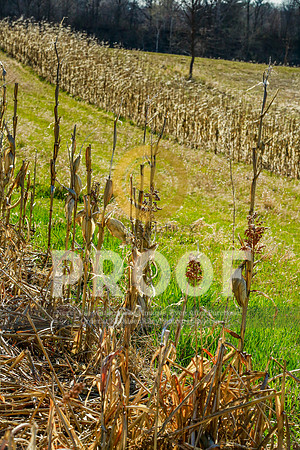 2021-KathleenRileyPhotography-2442