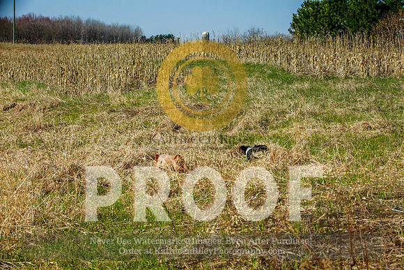 2021-KathleenRileyPhotography-2462