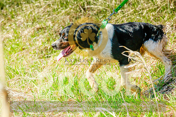 2021-KathleenRileyPhotography-2487