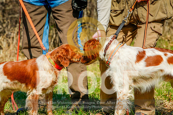 2021-KathleenRileyPhotography-2686