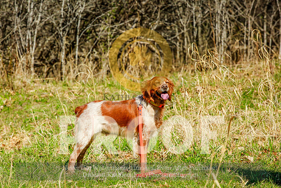 2021-KathleenRileyPhotography-2697