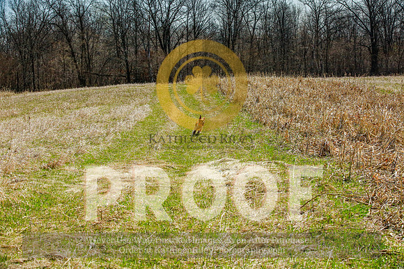 2021-KathleenRileyPhotography-2740