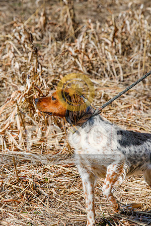 2021-KathleenRileyPhotography-5408
