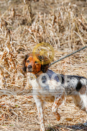 2021-KathleenRileyPhotography-5414