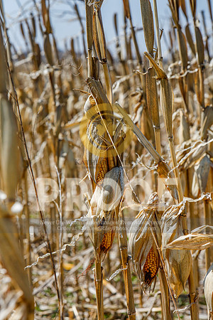 2021-KathleenRileyPhotography-5426