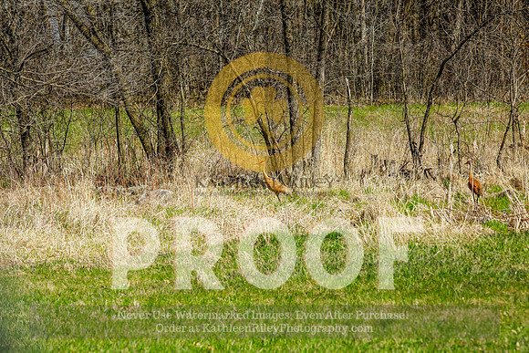 2021-KathleenRileyPhotography-2831