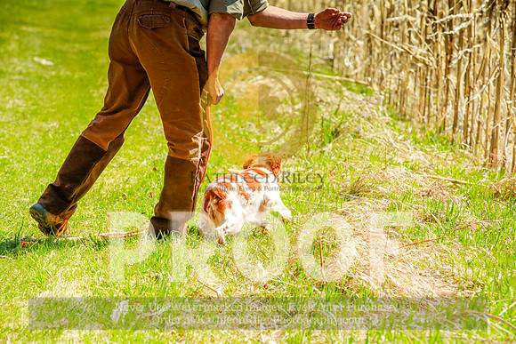 2021-KathleenRileyPhotography-2843